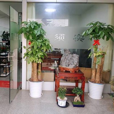 企業(yè)風(fēng)采